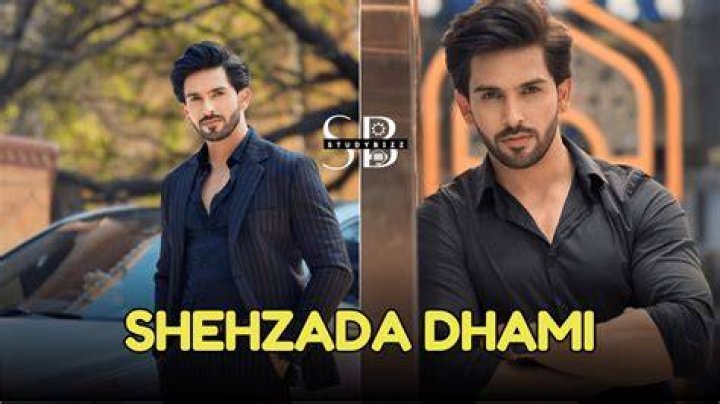 Shehzada Dhami acted as Rehan Ahmed Khan in Yeh Jadu Hai jin Ka