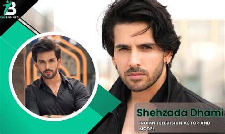 Shehzada Dhami TikTok account