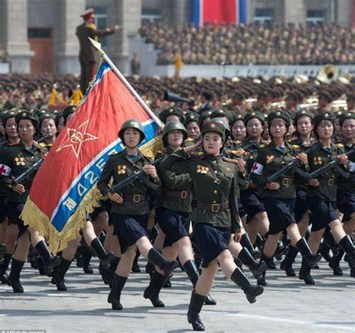Silly Uniforms DPRK Women
