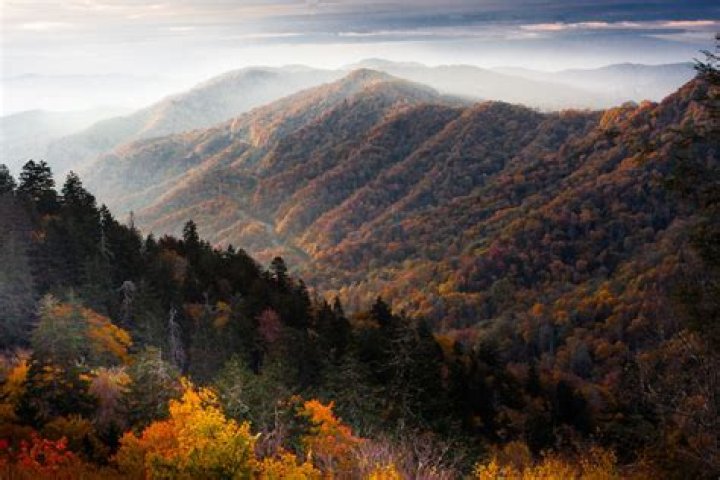 Smoky Mountains Search