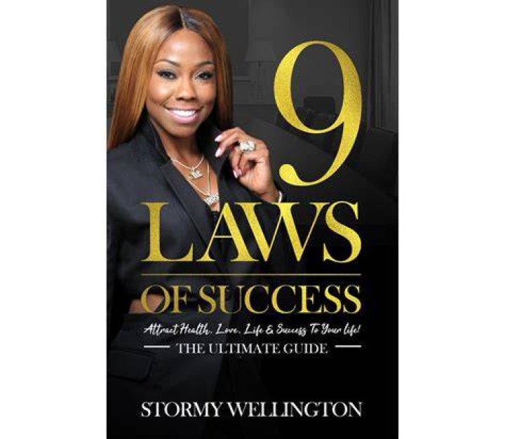 Stormy Wellington book 9 Laws of Success
