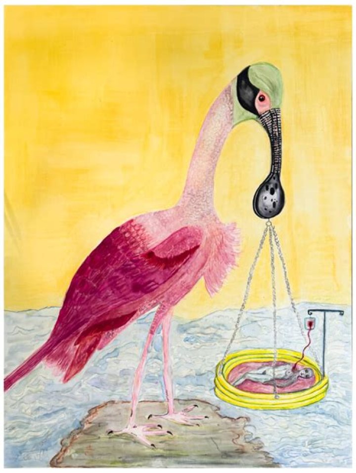 Suleika Jaouad loves paintings