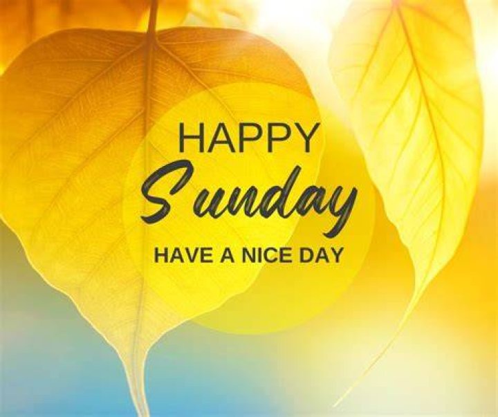Sunday B&aacute;ez
