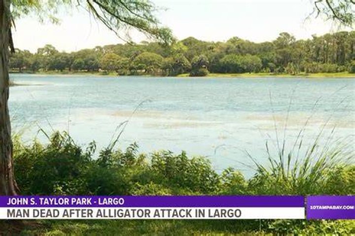 Taylor Lake In Largo Florida