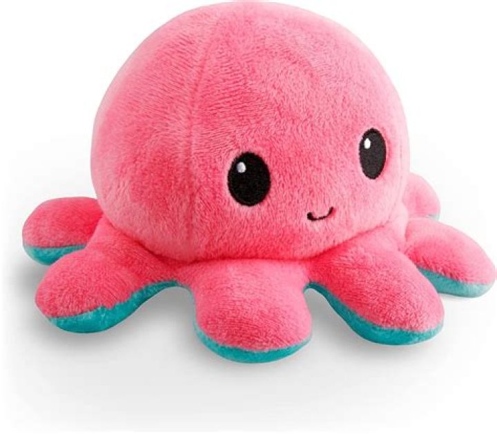 Toy Octopus