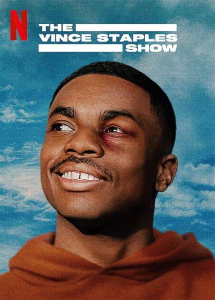 Vince Staples made The Vince Staples show on netflix