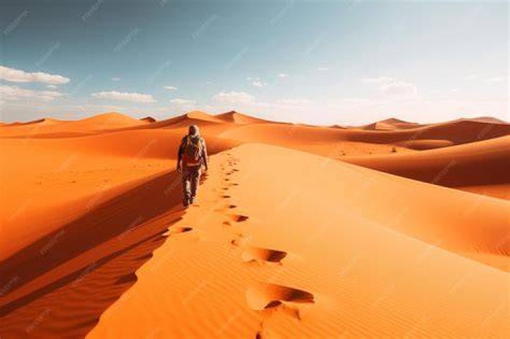 Walking In The Sahara Desert