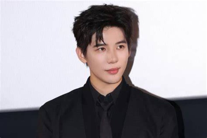 Wang Wei Biography, Age, Height, Wife, Net Worth, Family