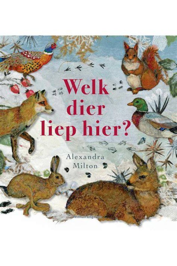 Welk dier is Shifu? – Celebrity.fm