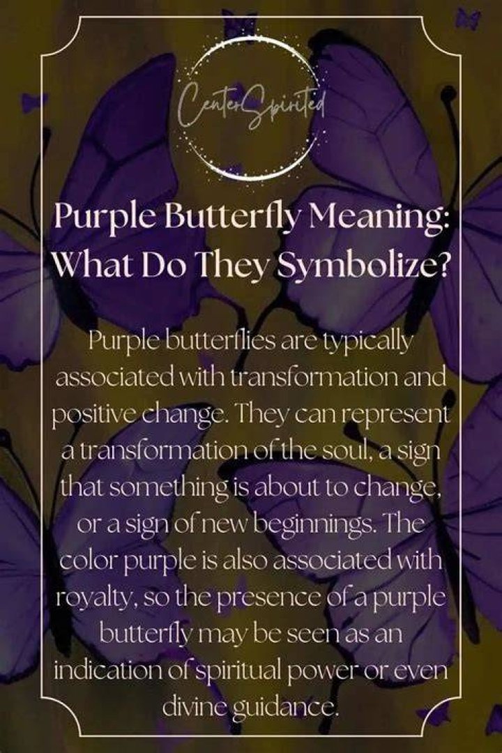 What does the Purple Butterfly Meme mean explained?