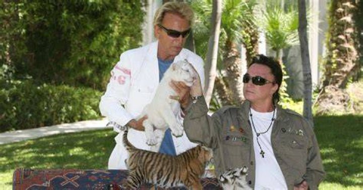 What happened to Siegfried and Roy’s cats?