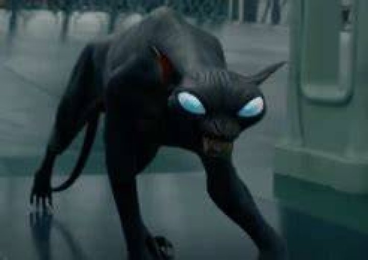What is a Matagot in Harry Potter?