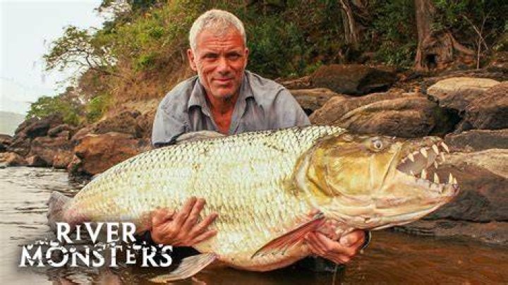 What is the biggest fish caught on River Monsters?