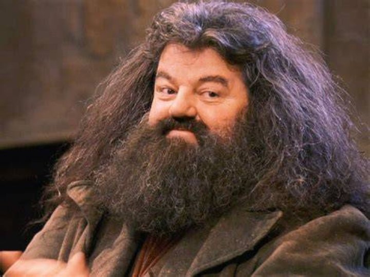 Who in Harry Potter has a beard?