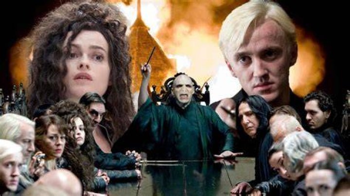 Why did the Death Eater stop after killing Hedwig?