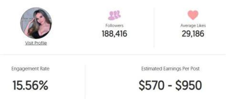 Yellz0 estimated Instagram earning