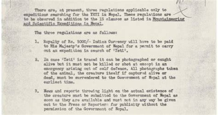 Yeti Memo Guidelines